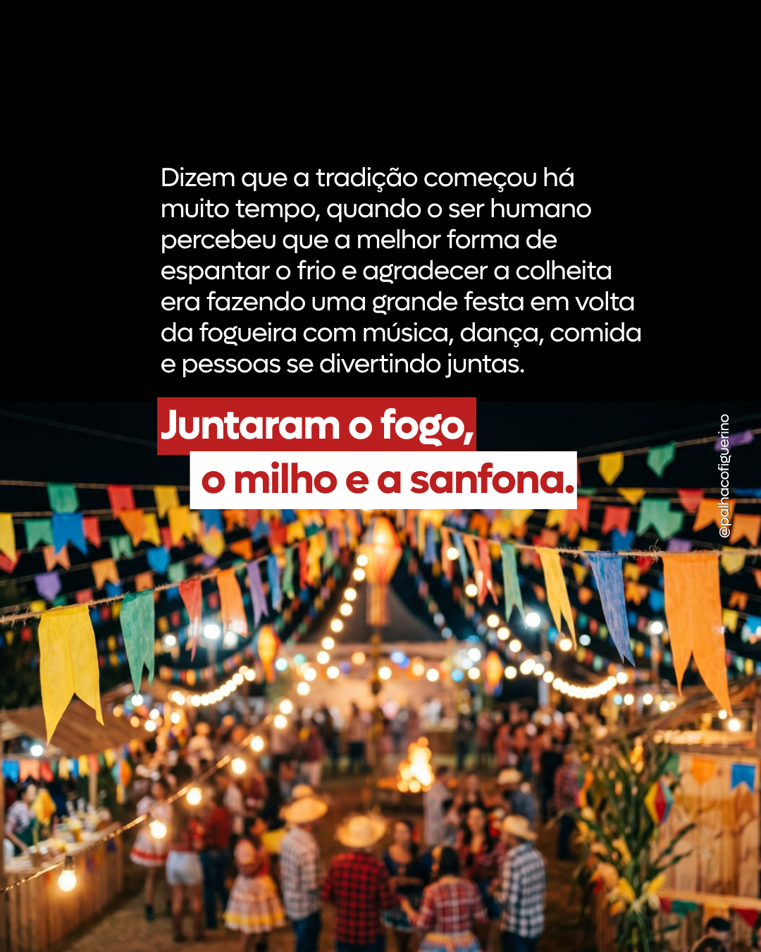 04.06-feed (PF)_02.png