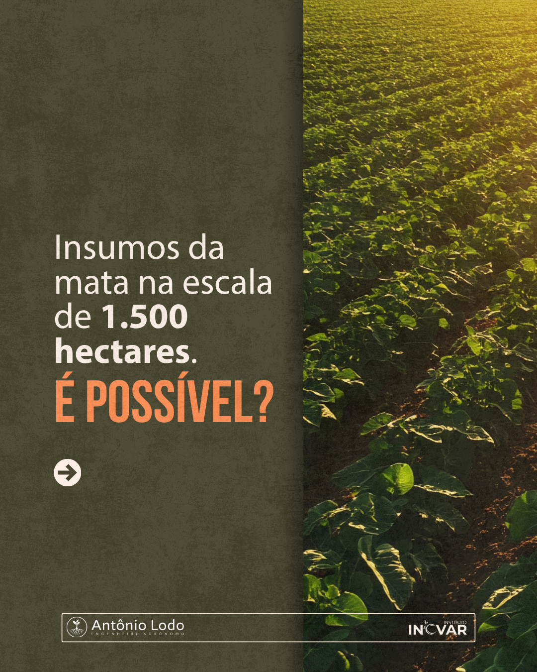 15.06-feed (II)_01.png