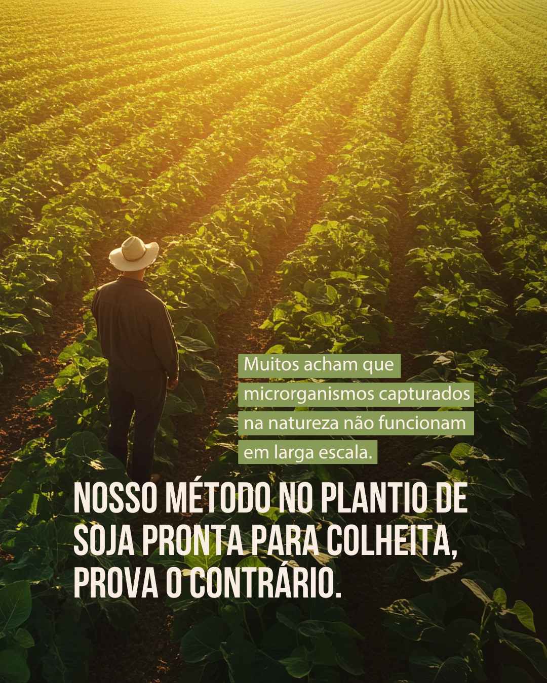 15.06-feed (II)_02.png