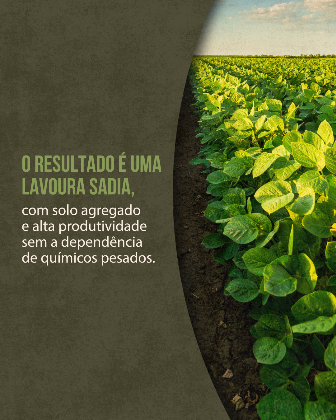 15.06-feed (II)_04.png